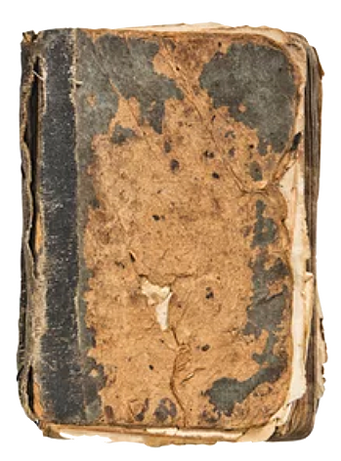 Fugitive from the Endless War