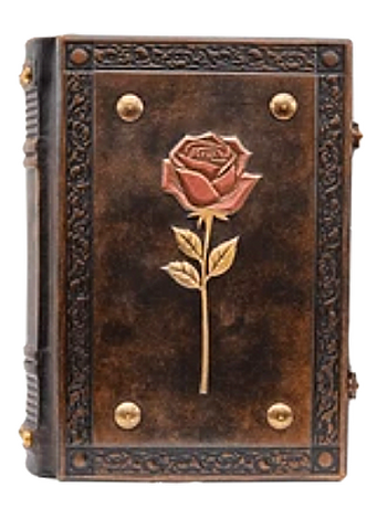 Somehow, We Forgot the Name of that Red Flower