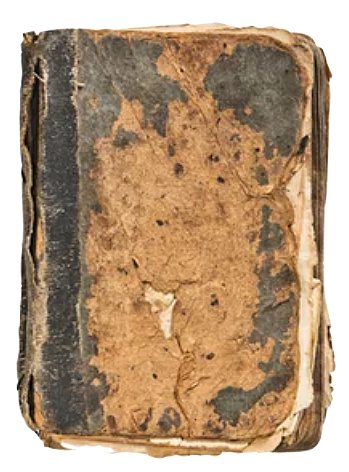 Fugitive from the Endless War