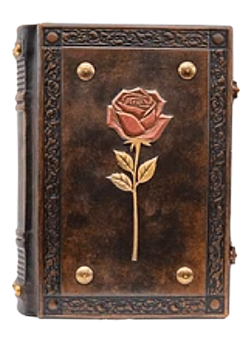 Somehow, We Forgot the Name of that Red Flower